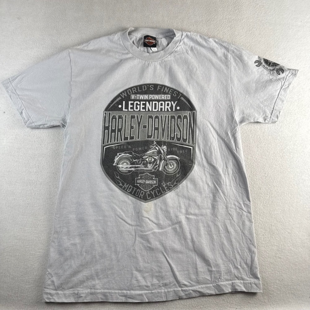 Harley-Davidson Mens Legendary V-Twin Laconia NH Graphic T-Shirt Gray Large
